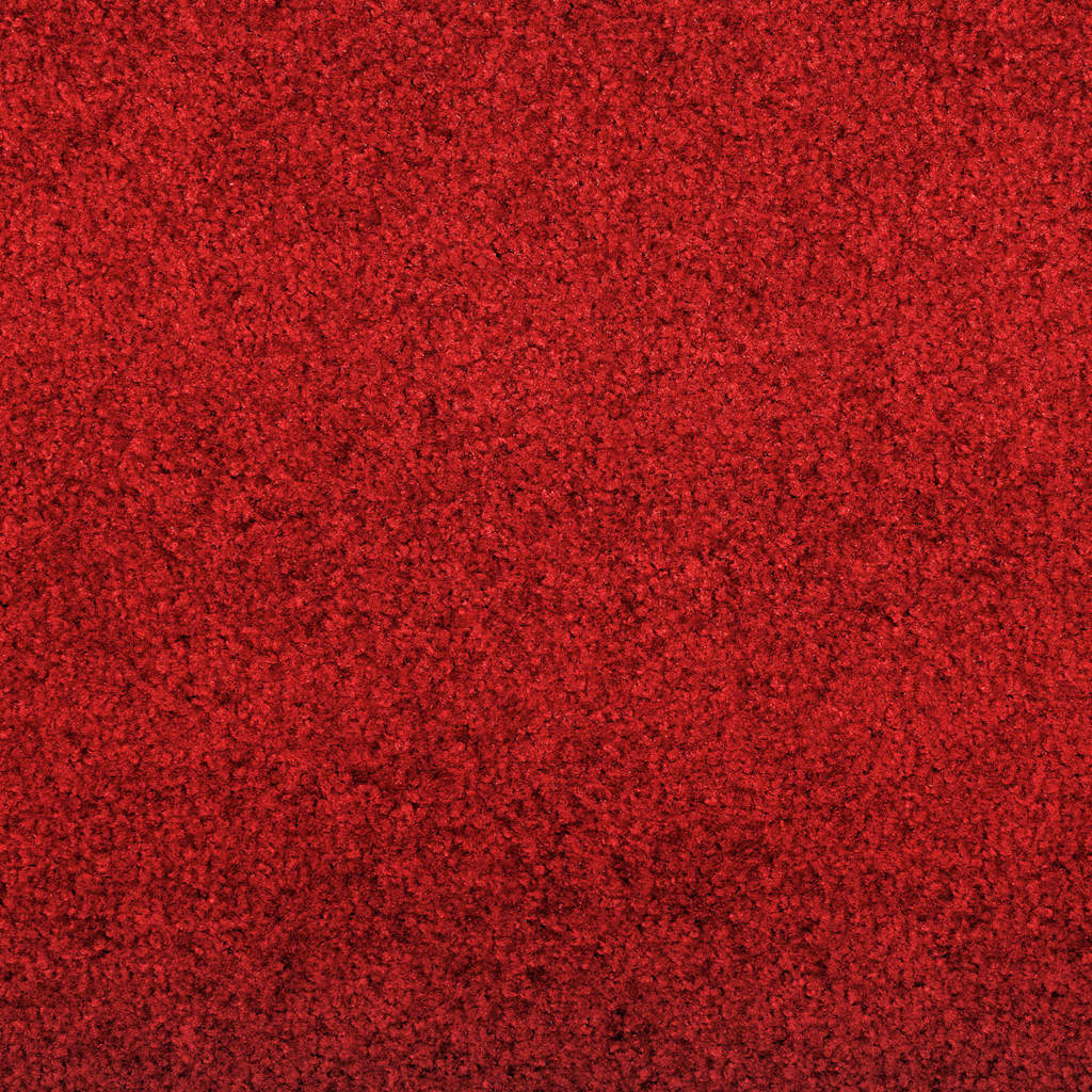Fußmatte Rutschfest Polypropylen Rot 120 x 300 cm